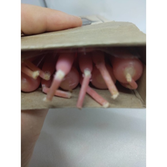 12 Wild Rose Pink Taper Dinner Candles 10-inch Tall Paragon Candles Vintage - Picture 6 of 6